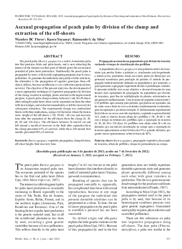 (PDF) Asexual propagation of peach palm by division of the clump and