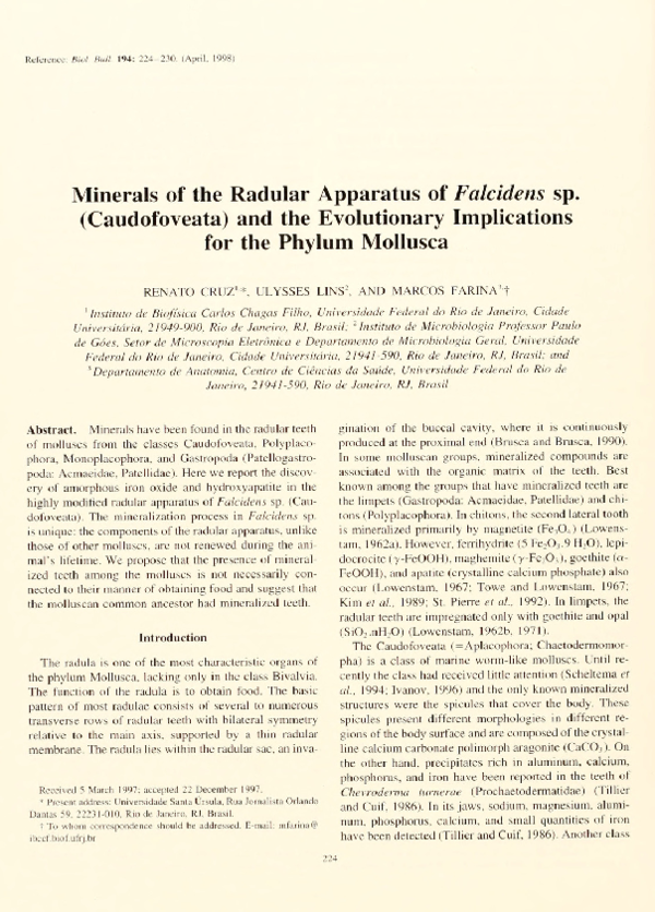 (PDF) Minerals of the Radular Apparatus of Falcidens sp. (Caudofoveata ...