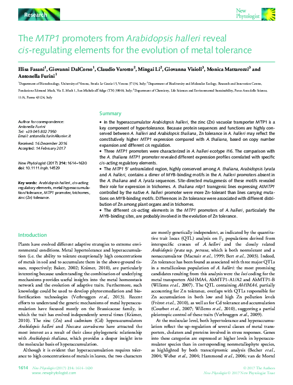 (PDF) The MTP1 promoters from Arabidopsis halleri reveal cis-regulating ...