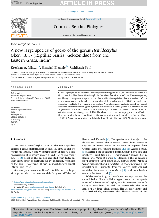 (PDF) A new large species of gecko of the genus Hemidactylus Oken, 1817 ...