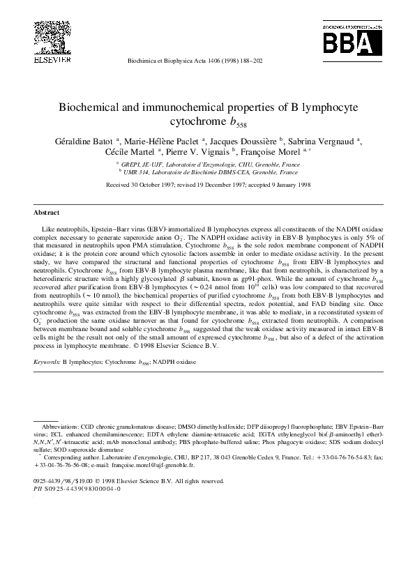 (PDF) Biochemical and immunochemical properties of B lymphocyte ...