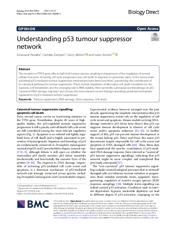 (PDF) Understanding p53 tumour suppressor network