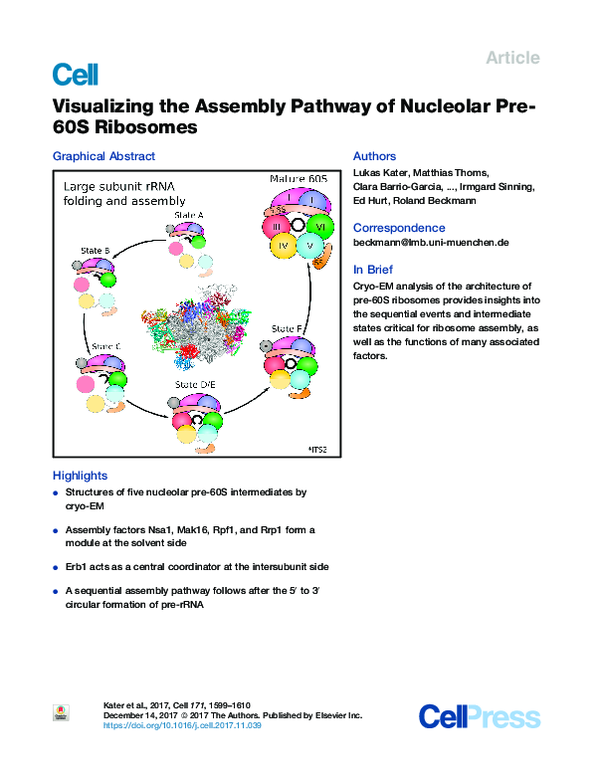(PDF) Visualizing the Assembly Pathway of Nucleolar Pre-60S Ribosomes