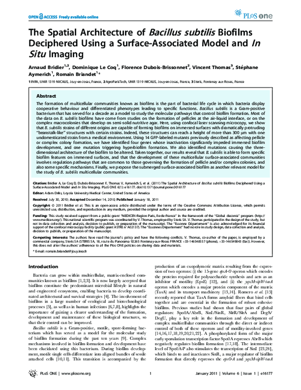 (PDF) The Spatial Architecture of Bacillus subtilis Biofilms Deciphered ...