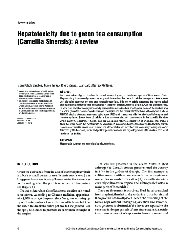 (PDF) Hepatotoxicity due to green tea consumption (Camellia Sinensis
