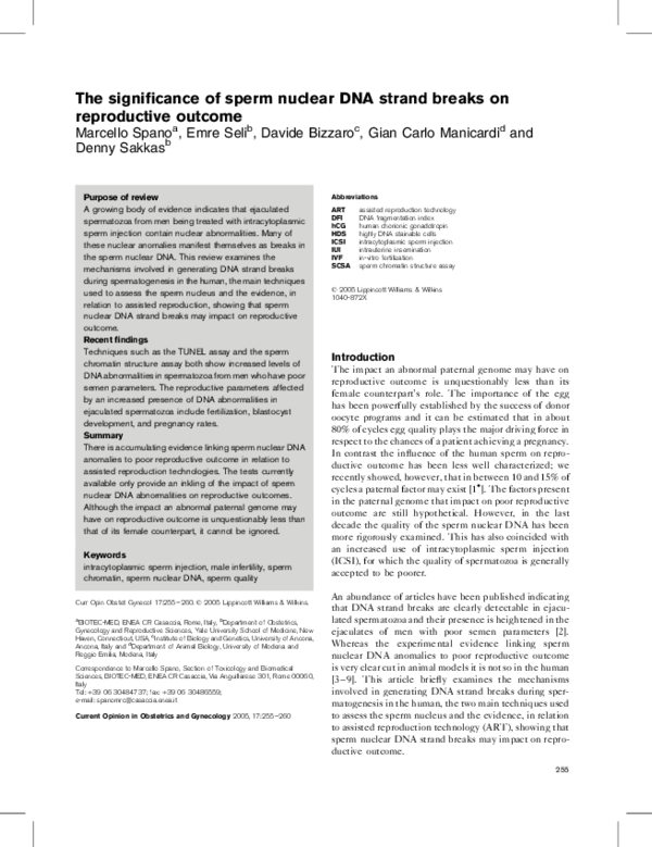 (PDF) Impact of Sperm DNA Strand Breaks on Reproductive Success