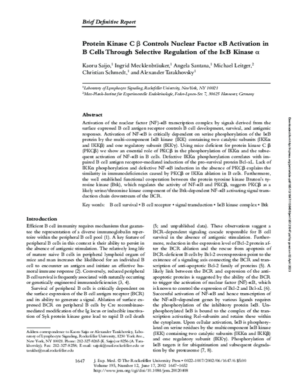 (PDF) Protein Kinase C β Controls Nuclear Factor κB Activation in B ...
