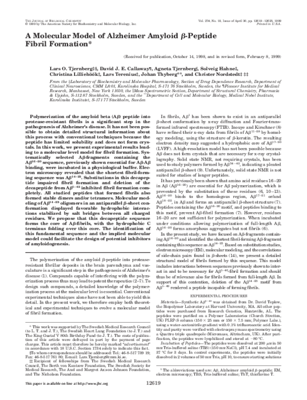 (PDF) A Molecular Model of Alzheimer Amyloid β-Peptide Fibril Formation