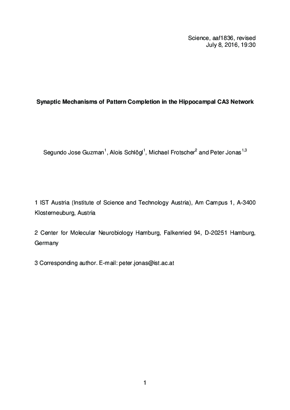 (PDF) Synaptic mechanisms of pattern completion in the hippocampal CA3 ...
