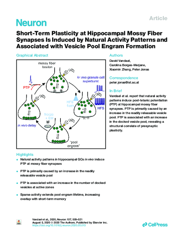 (PDF) Short-Term Plasticity at Hippocampal Mossy Fiber Synapses Is ...