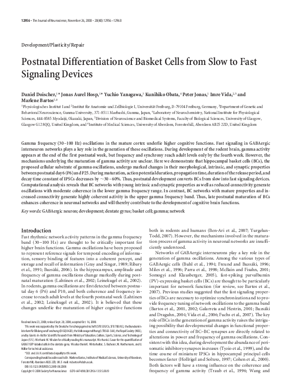 (PDF) Postnatal Differentiation of Basket Cells from Slow to Fast ...