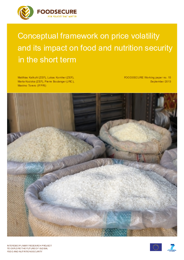 (PDF) Conceptual framework on price volatility and its impact on food ...