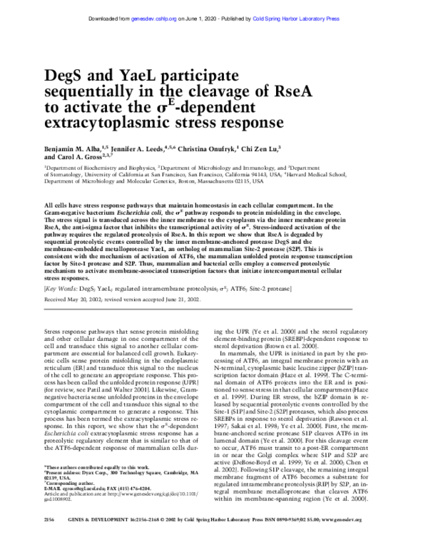 (PDF) DegS and YaeL participate sequentially in the cleavage of RseA to ...