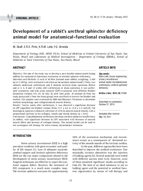 (PDF) Development of a rabbit's urethral sphincter deficiency animal ...