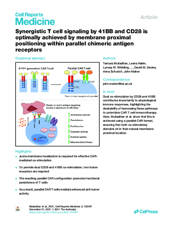 (PDF) Synergistic T cell signaling by 41BB and CD28 is optimally ...