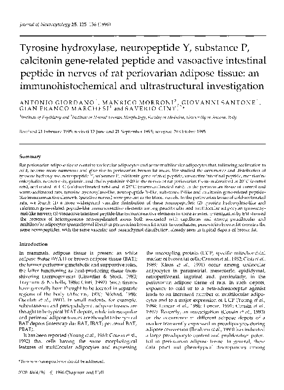 (PDF) Tyrosine hydroxylase, neuropeptide Y, substance P, calcitonin ...