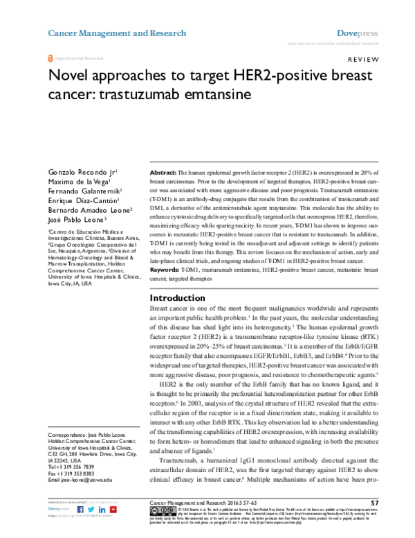 (PDF) Novel approaches to target HER2-positive breast cancer ...