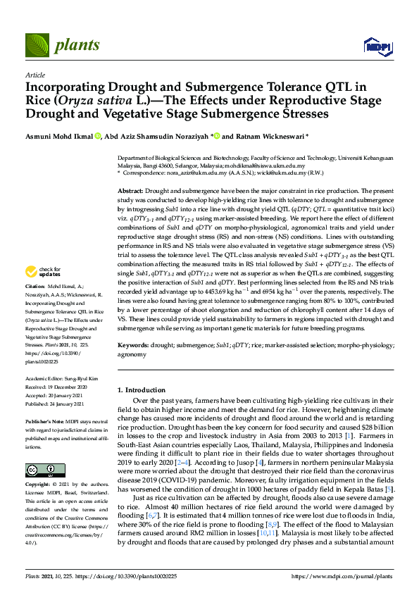 (PDF) Incorporating Drought and Submergence Tolerance QTL in Rice ...
