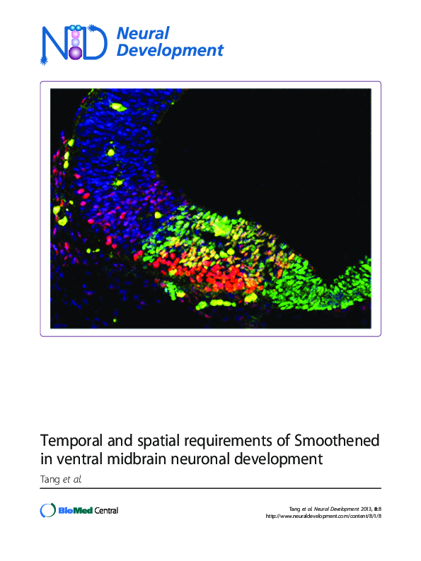 (PDF) Temporal and spatial requirements of Smoothened in ventral ...