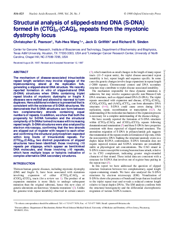(PDF) Structural analysis of slipped-strand DNA (S-DNA) formed in (CTG ...