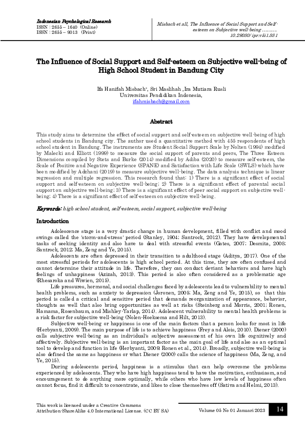 (PDF) The Influence of Social Support and Self-esteem on Subjective ...