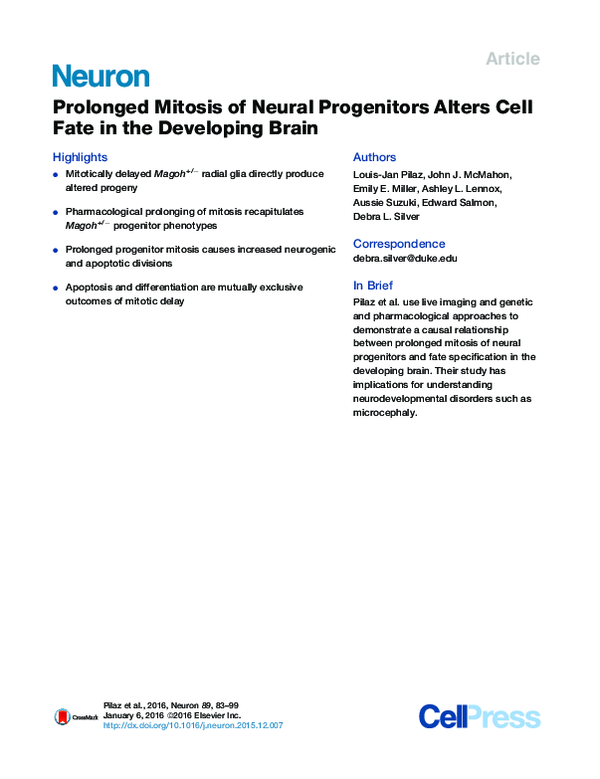 (PDF) Prolonged Mitosis of Neural Progenitors Alters Cell Fate in the ...