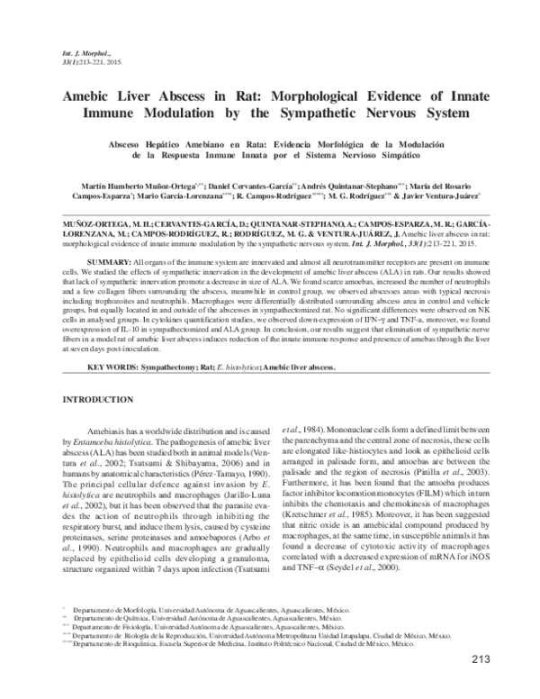 (PDF) Amebic Liver Abscess in Rat: Morphological Evidence of Innate ...