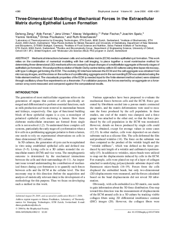 (PDF) Three-Dimensional Modeling of Mechanical Forces in the ...