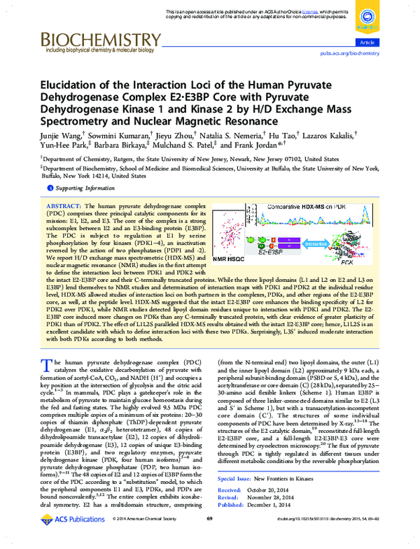 (PDF) Elucidation of the Interaction Loci of the Human Pyruvate ...