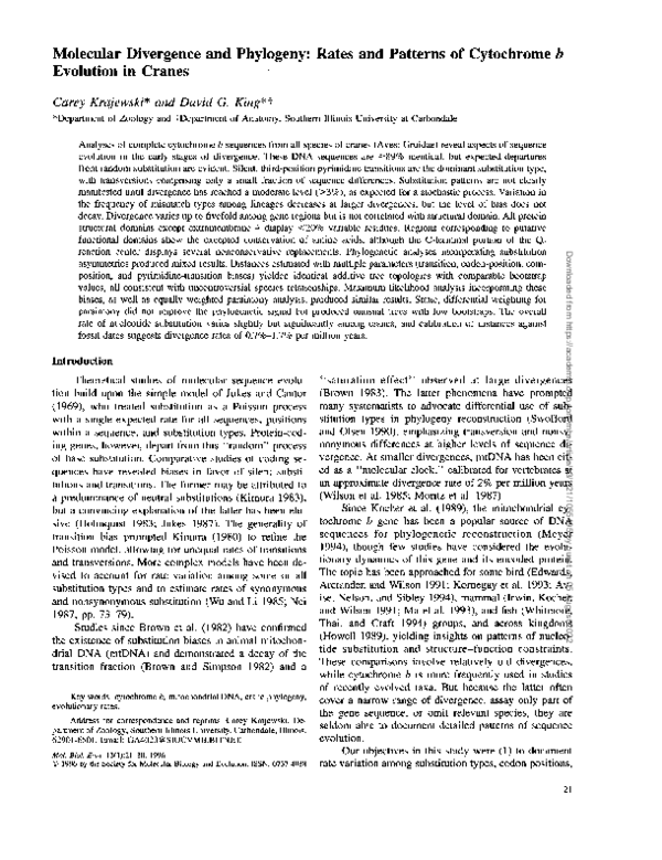 (PDF) Molecular divergence and phylogeny: rates and patterns of ...