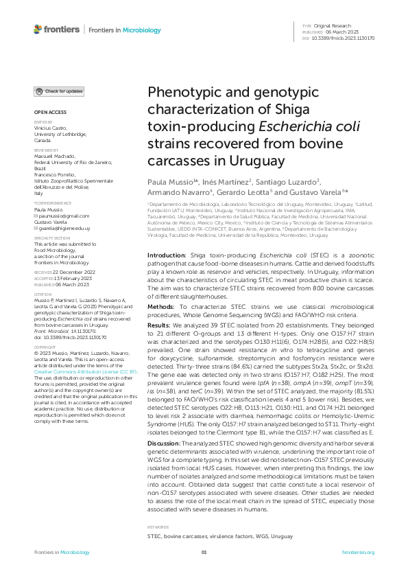 (PDF) Phenotypic and genotypic characterization of Shiga toxin ...