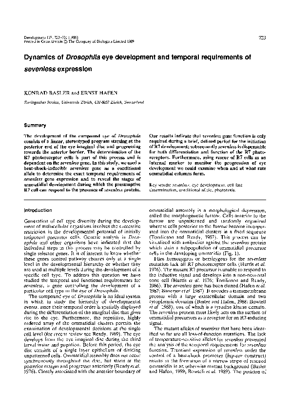(PDF) Dynamics of Drosophila eye development and temporal requirements ...