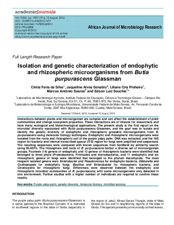 (PDF) Isolation and genetic characterization of endophytic and ...