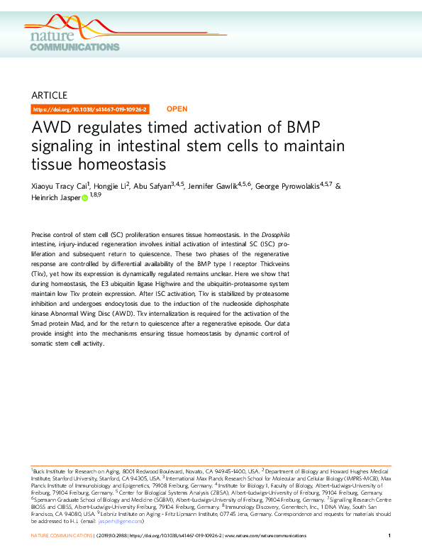 (PDF) AWD regulates timed activation of BMP signaling in intestinal ...