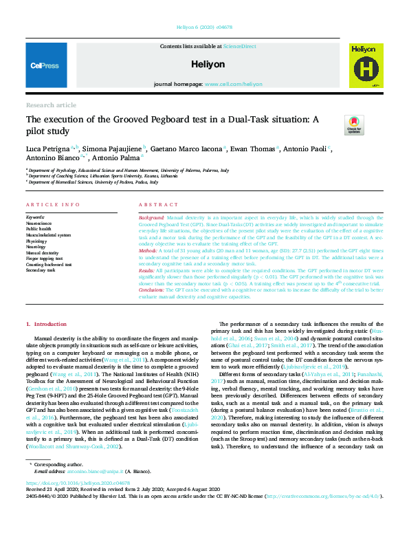 (PDF) The execution of the Grooved Pegboard test in a DualTask