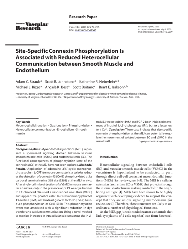 Site-Specific Connexin Phosphorylation Is Associated with Reduced Heterocellular Communication between Smooth Muscle and Endothelium