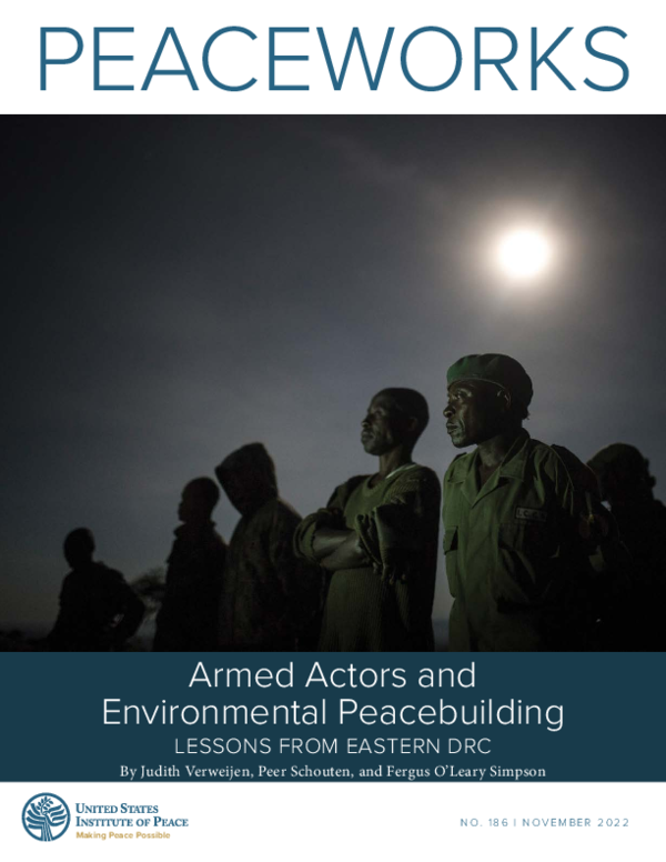 Pdf Armed Actors And Environmental Peacebuilding Lessons From