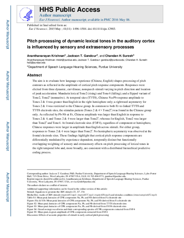 (PDF) Pitch processing of dynamic lexical tones in the auditory cortex ...