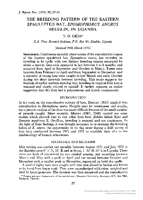 (PDF) The Breeding Pattern of the Eastern Epauletted Bat, Epomophorus ...