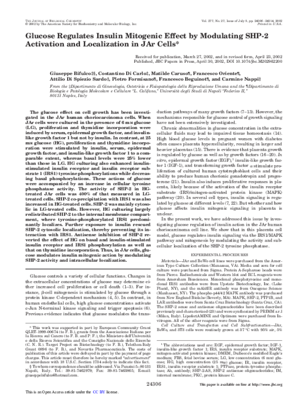 (PDF) Glucose Regulates Insulin Mitogenic Effect by Modulating SHP-2 ...