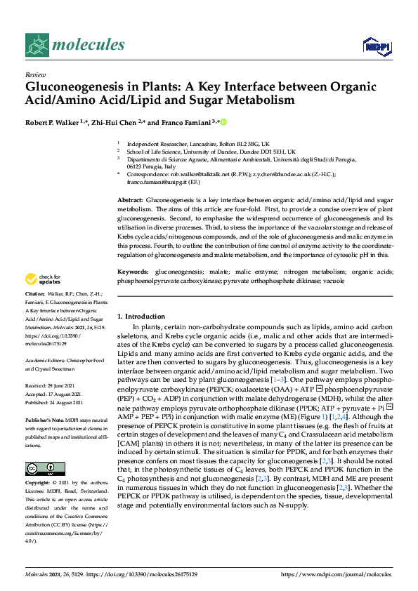 (PDF) Gluconeogenesis in Plants: A Key Interface between Organic Acid ...