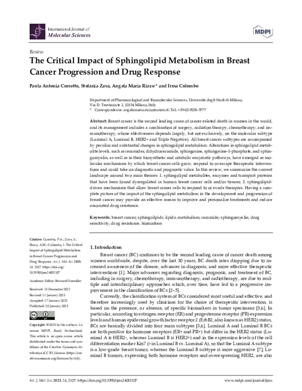 (PDF) The Critical Impact of Sphingolipid Metabolism in Breast Cancer ...