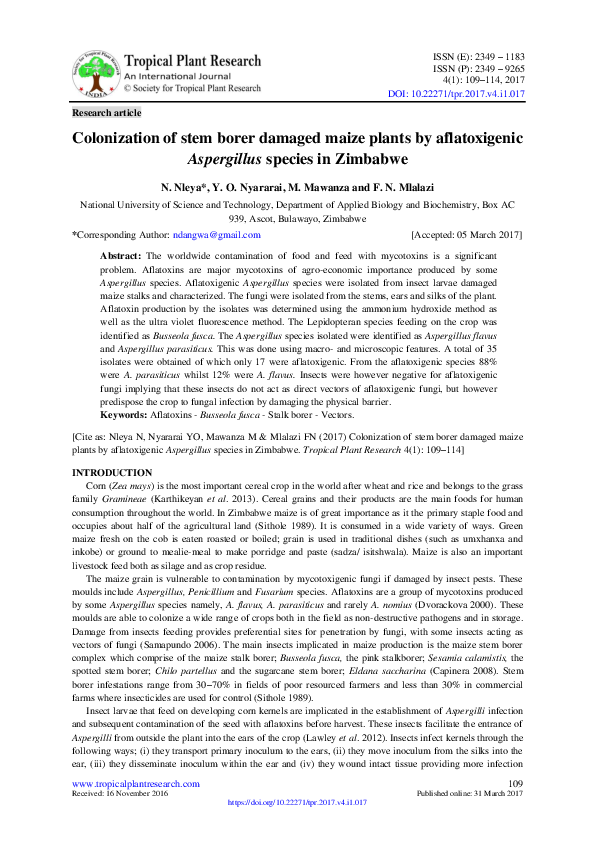 (PDF) Colonization of stem borer damaged maize plants by aflatoxigenic ...