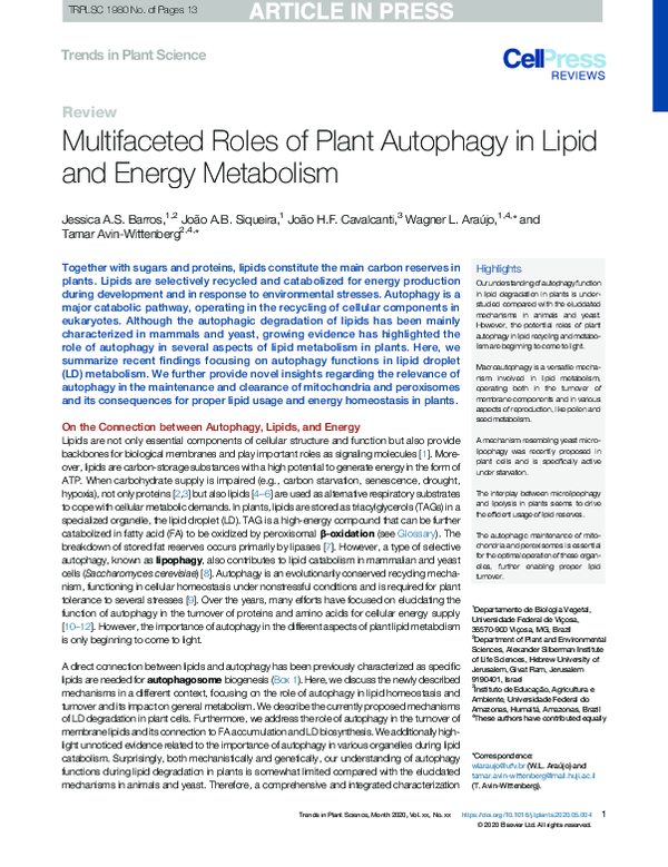 (PDF) Multifaceted Roles of Plant Autophagy in Lipid and Energy Metabolism