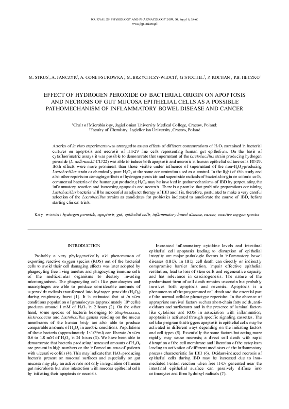 (PDF) Effect of hydrogen peroxide of bacterial origin on apoptosis and ...