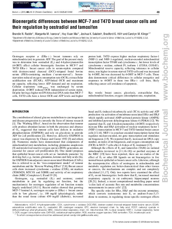 (PDF) Bioenergetic differences between MCF-7 and T47D breast cancer ...