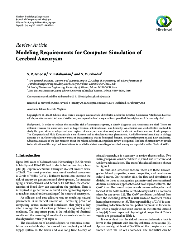 (PDF) Modeling Requirements for Computer Simulation of Cerebral Aneurysm