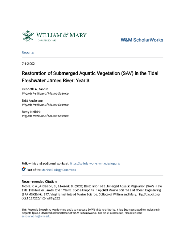 (PDF) Restoration Of Submerged Aquatic Vegetation (Sav) In The Tidal ...