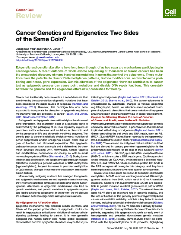(PDF) Cancer Genetics and Epigenetics: Two Sides of the Same Coin?