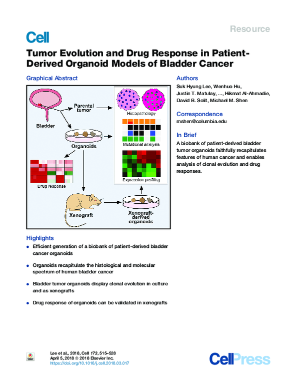 (PDF) Tumor Evolution and Drug Response in Patient-Derived Organoid ...